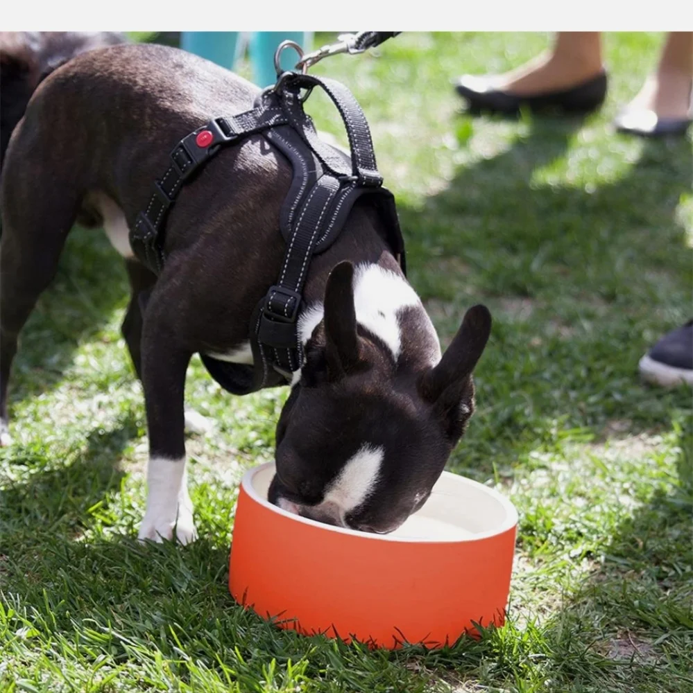 Magisso Feeding Bowl Cooling Ceramic Dog Bowl